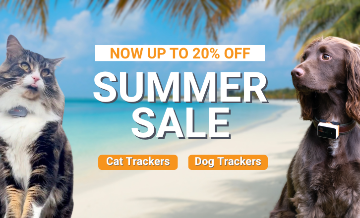 Pawfit Banner