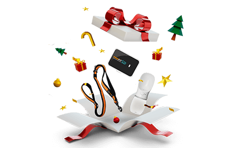 Pawfit Holiday Shop 2024