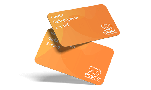 Pawfit Holiday Shop 2024