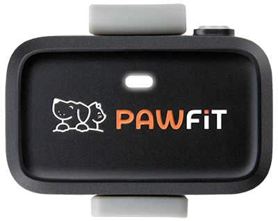 Pawfit Lite GPS tracker for dogs