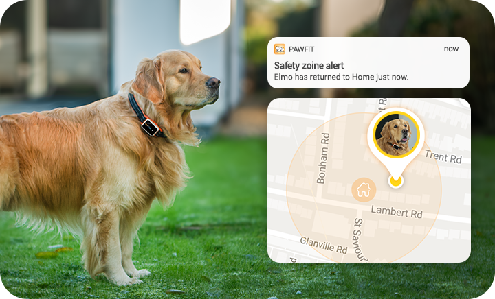 What can Pawfit do when your pet leaves the safe zone?