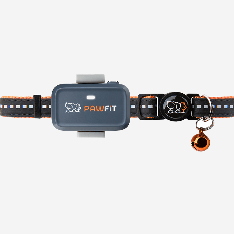 Pawfit Lite GPS tracker for cats
