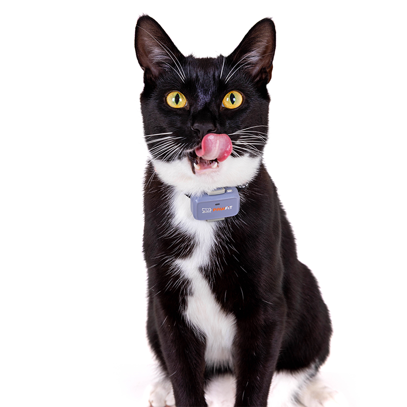 Pawfit Lite GPS tracker for cats