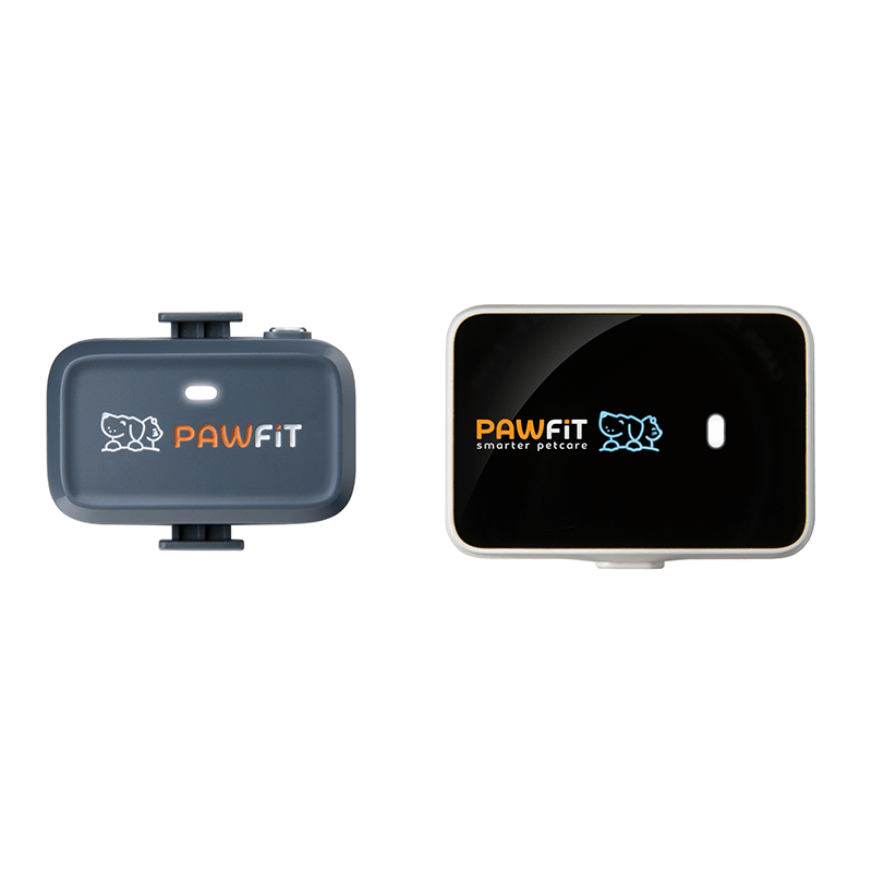 Pawfit Lite GPS tracker for dogs